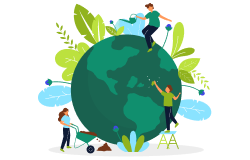 Sustainability Wins