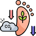 Realizing a Lower Carbon Footprint